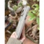 Ốp Lưng Trong Suốt Viền Màu Chống Sốc X&M Touch Skin Cho iPhone 15 ProMax – Tích Hợp Kính Bảo Vệ Cụm Camera