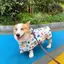 Corgi Chó Áo Mưa Đặc Biệt Cho Chó Áo Mưa Nhỏ Vừa Chó Schnauzer Shiba Inu Thú Cưng Ngày Mưa Quần Áo Chống Thấm Nước Bụng Túi