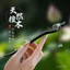 Ebony Tua Rua Kẹp Tóc Cổ Điển Trung Quốc Cao Cấp, Trang Sức Retro Phù Hợp Với Hanfu Bun
