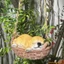 Đồ trang trí tượng chó trong vườn Trang trí treo xích đu bằng nhựa dễ thương sáng tạo cho hàng rào bãi cỏ sân hiên