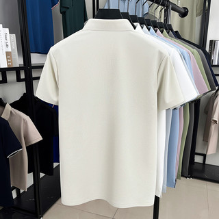 Áo sơ mi POLO nam trung niên chất liệu Ice Silk, ngắn tay, màu trơn, có ve áo