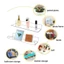 Kệ treo tường MARGREDY, Tiết kiệm không gian Giá Acrylic không đục lỗ, Phong cách hiện đại có nhãn dán Kệ lưu trữ hình chữ U Nhà