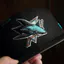 Mũ Snapback 9FIFTY E2RA San Jose Sharks Đen, Thêu Nhiều Màu, Phù Hợp Cho Thời Trang Ngoài Trời