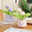 Rytanda Dễ Thương Mềm Bồ Công Anh Đồ Chơi Sang Trọng Cho Bé Trai Bé Gái Sang Trọng Búp Bê Cây Xanh Gốm Gối Ngủ Cho Bé Quà Tặng Ngày Trẻ Em Trang Trí Phòng Ngủ Quà Tặng Sinh Nhật Quà Tặng Sinh Nhật