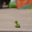 Đức Sile Rắn Nhựa Đồ Chơi Mô Hình Khủng Long Mini Tyrannosaurus Rex Con Trai Nhỏ Tyrannosaurus Cub Trẻ Em