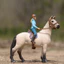 Đức Sile cưỡi ngựa cưỡi ngựa cưỡi ngựa cưỡi ngựa bỏ túi ngựa Rider cảnh đồ chơi mô hình