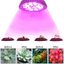 【COD】Đèn LED trồng cây E27 có các chuẩn E14 MR16 GU10 B22, tăng cường sinh trưởng cho cây cảnh trong lều nhà kính.