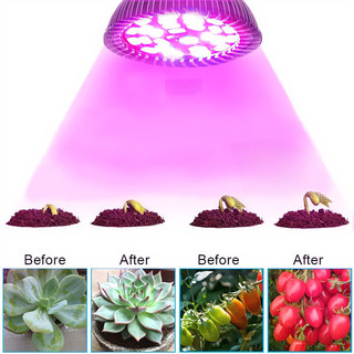 【COD】Đèn LED trồng cây E27 full spectrum 80 led, ánh sáng mềm không gây hại mắt, lắp đặt trong lều ươm hạt giống.
