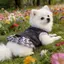 【Ready Stock】 Spring and Summer New Cat and Dog Clothes Bow Dress Teddy Bichon York Summer Pomeranian Sleeveless Princess Dress 7qSo