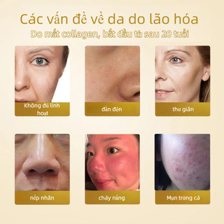 Mặt Nạ Ngủ Collagen Trắng Da Chống Lão Hóa 4ml*20pcs Giúp giảm nếp nhăn Thu nhỏ lỗ chân lông và giữ ẩm cho da thiện