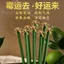 Hương thơm hoa lá bưởi tự nhiên Chúc may mắn Hương thơm gia đình Thanh lọc trong nhà Hương may mắn Hương thơm phong phú Hương thơm lâu trôi