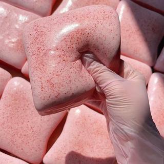 Squishy Mô Phỏng Bánh Mì Nướng Bóp Đồ Chơi Đồ Chơi Giảm Căng Thẳng Tăng Chậm Đồ Chơi Nướng Cảm Giác Thần Tài Đồ Chơi Cho Trẻ Em decfeyeth