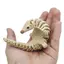 Mô hình khớp nối Pangolin với khớp di chuyển Tượng động vật in 3D cho bàn làm việc tại nhà Trang trí văn phòng sonlekvn