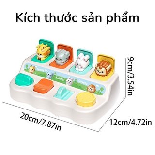 Peek A Boo Cat Pop Up Box Hình Động Vật Montessori Tập Đi Logic Fine Motor Toy ABS