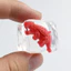 < Pluscloth > 15 Chiếc Khủng Long Ice Cube Bóp Đồ Chơi Trong Suốt Mềm Căng Thẳng Bóng Cảm Giác Fidget Đồ Chơi Giảm Lo Âu Tập Trung Thư Giãn Trẻ Em Người Lớn Dụng Cụ Giảm Căng Thẳng Khối Mềm Cảm Giác T