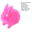 < Pluscloth > Đồ chơi Tpr Fidget mềm có đèn đổi màu Tiện ích giải nén cho trẻ em Người lớn – Quà tặng thư giãn hoàn hảo Đồ chơi Fidget Đông Nam Á