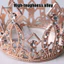 Vương miện thú cưng lấp lánh có thể điều chỉnh với kim cương giả – Tiara dễ thương cho mèo Chó nhỏ Dây rút Mũ tiệc Cosplay Đạo cụ ảnh hoàn hảo cho thú cưng Đông Nam Á cho mèo
