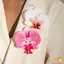 Mẫu Trâm Cài Bướm Phong Lan 3D Pin Cây Thanh Lịch - Phù Hợp Với Đầm - Bộ 10 Chiếc Mới