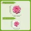 TRTR 1 Nhà Vệ Sinh Stier, Decal Dán Tường Tự Dính Sáng Tạo Cho Phòng Tắm, Trang Trí Dạ Quang Chống Thấm Nước VN