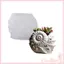 COO Chắc Chắn Silicon Conch Planter Khuôn Thủ Công Hộp Nhựa Trang Trí Quà Tặng