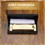 10 Lỗ 20 Tone G Key Harmonica Blues Nhạc Cụ Diatonic Harp Có Hộp Bảo Quản Vàng