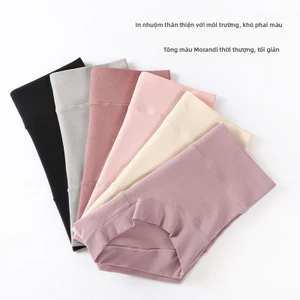 Quần lót Cotton co giãn dành cho nữ - Eo cao, Bụng hẹp, Nâng hông, Kích thước lớn
