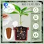Quả cầu tưới cây tự động 4 quả 500 Ml Cây tưới nước cho gia đình, ban công, phòng khách, dụng cụ tưới cây căn hộ
