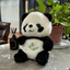 Bé Ngủ Sooother Panda Cho Bé Ngủ Đồng Hành Âm Thanh Ánh Sáng Búp Bê Cho Bé Trẻ Sơ Sinh Kid