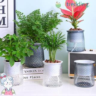 Chậu hoa TREDDING491, Chậu trồng cây tự tưới vườn, Chậu trồng nước bằng nhựa có thể nhìn thấy