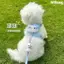 【Ready Stock】 Dog Cartoon Hand Holding Rope Outing Anti Breaking Loose Strap Adjustable Pet Special Muppet Teddy Small Rope for Dogs 5gSD