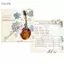 toyuvn ERYUE M101 Trọn bộ dây đàn Mandolin Dây đồng Thép không gỉ Màu Bạc & Gloden (.010-.034)