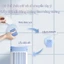 Có bàn chải vệ sinh phun nước + Đầu bàn chải mềm chống trầy xước, loại gắn tường bằng silicon, tiết kiệm không gian