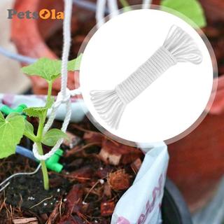 Dây tưới nước tự động cho, Dây bấc tự tưới nước, Dây bấc thụ động dài 9 M cho thủy canh để trồng cà chua của riêng bạn