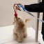 Đồ chơi cho chó Đồ chơi cho chó lớn Tug-of-War Sucker Tiêu thụ vật lý Sức mạnh thể chất trêu chọc chó Dính răng hàm Chống cắn Tự sướng