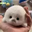 Dễ Thương Cho Bé Cói Búp Bê Sang Trọng Đồ Chơi Mặt Dây Chuyền Mô Phỏng Đại Dương Đồ Chơi Lưu Niệm Cói Mặt Dây Chuyền Quà Tặng Túi Búp Bê Mặt Dây Chuyền Đẹp
