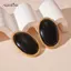 AqToCna Bold Ellipse Hình Học Nhựa Bông Tai Dành Cho Nữ 1 Đôi Retro Cá Tính Nhẹ Trang Sức Cho Cuối Tuần Hoặc Làm Việc AqToCna