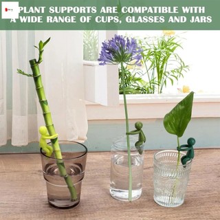 Giá đỡ cây thủy canh - Chậu hoa trang trí văn phòng bể cá để làm vườn