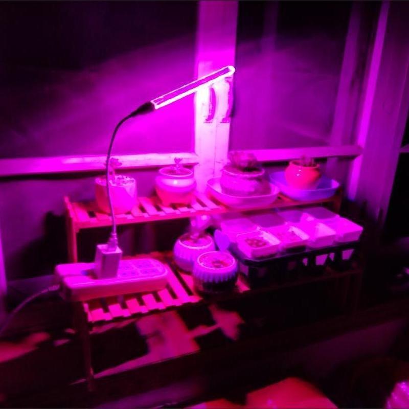 Đèn Led Giả Mặt Trời Cây Tăng Trưởng Trong Nhà Nhiều Đầy Ánh Sáng Cây Xanh Hợp Tác Ánh Sáng Bể Cá Cảnh Quan Ánh Sáng Mặt Trời 5.9