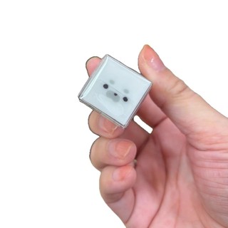 Tẩy Con Dấu Hoạt Hình Sandwich Dễ Thương Phần Thưởng Sinh Viên Nhật Bản Phong Cách Mới Tẩy Sinh Viên Động Vật Nhỏ Chim Cánh Cụt Nhỏ JLL9