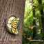 Bướm Cổ Tích Cây Hugger Dễ Thương Phát Sáng Trong Bóng Tối Tượng Vườn Mặt Cây Tượng Điêu Khắc Để Trang Trí Sân Bãi Cỏ