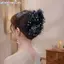 Khung Ảnh Lưới Hoa Ngọc Trai Bướm thời trang cho tóc cá mập, vuốt tóc tinh tế dành cho nữ