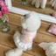 Thú Cưng Chó Quần Áo Mùa Xuân Mùa Hè Mỏng Áo Gấu Dễ Thương In Váy Ren Chó Con Bichon Schnauzi Quần Áo