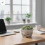Chậu trồng gốm vuông có đề can cảnh quan để trang trí bàn làm việc văn phòng mọng nước