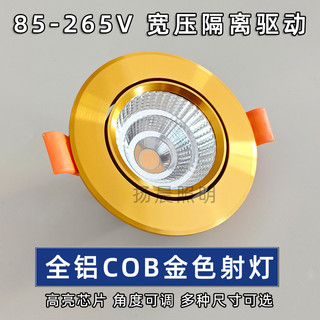 Vàng Đèn led Lỗ Nhúng Ánh Sáng Sang Trọng Trang Trí Khách Sạn Phòng Khách Nghiên Cứu Trần Đèn cob Downlight