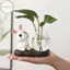 Houdou Thỏ Dễ Thương Thủy Canh Bình Thủy Tinh Trong Suốt Bình Thủy Tinh Để Bàn Trang Trí Bình Hoa Thủy Sinh Có Đế Gỗ VN
