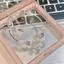 Mặt dây chuyền và vòng tay nữ opal mặt trăng pha lê, quà tặng sinh nhật ngọt ngào