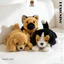 Rytanda Mô Phỏng Dễ Thương Husky Golden Retriever Shepherd Bugburn Dog Gối Sang Trọng Động Vật Mềm Búp Bê Sofa Đệm Quà Tặng Cho Trẻ Em Bạn Gái Trang Trí Ngày Lễ Tình Nhân Quà Tặng Sinh Nhật