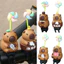 Xe Trang Trí Xe Máy Phụ Kiện Capybara Cối Xay Gió Đồ Chơi DIY Trang Trí Xe Máy Decora Anime Dễ Thương Xe Đạp