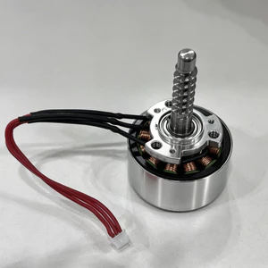 4020 Động Cơ Không Chổi Than Rùa Nhỏ Máy Mát Xa Vai Không Chổi Than Máy Mát Xa 4020 Dây Đồng DC Động Cơ NF3S