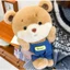 Cùng Ngày Giao Hàng Dễ Thương Nhút Nhát Gấu Sang Trọng Búp Bê Gấu Búp Bê Búp Bê Ragdoll Cặp Đôi Gấu Trẻ Em Bé Trai Quà Tặng Cô Gái Gối